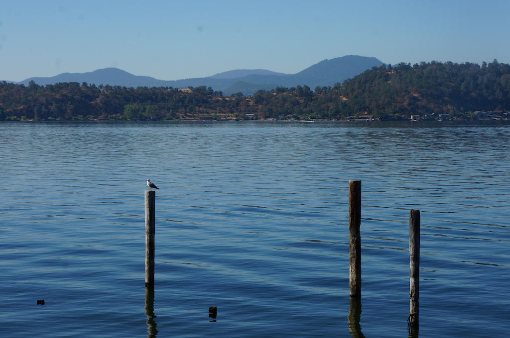 Motel Lake Marina